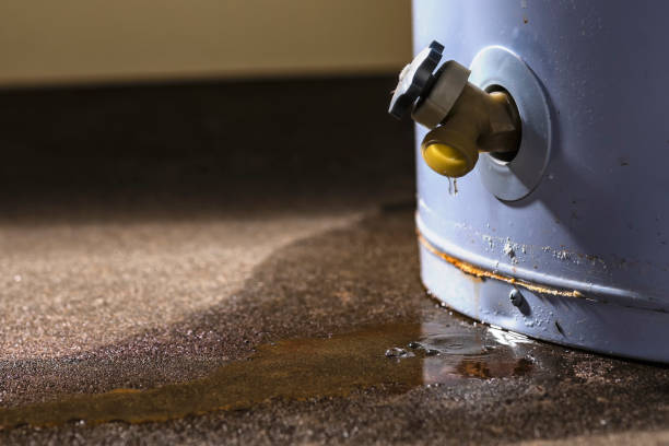 Best Ceiling water damage repair  in Fmington, AR