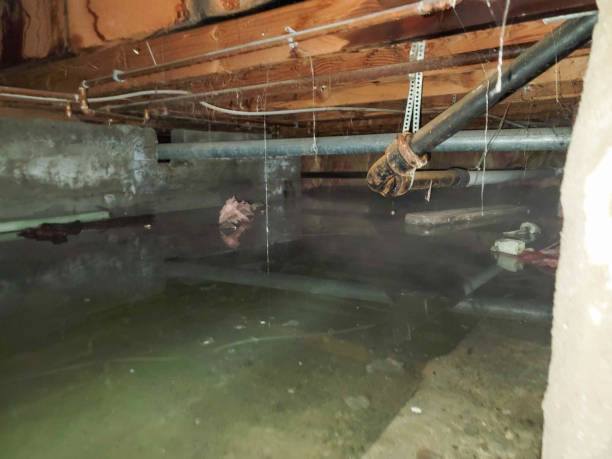 Best Emergency water damage restoration  in Fmington, AR