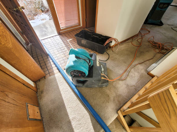 Best Commercial water damage restoration  in Fmington, AR