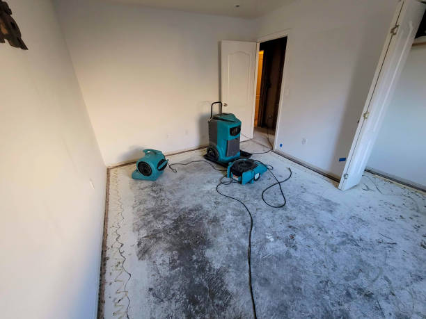 Best Sewage cleanup and water damage restoration  in Fmington, AR
