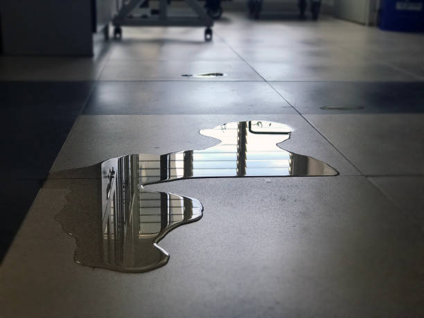 Best Professional water damage repair  in Fmington, AR