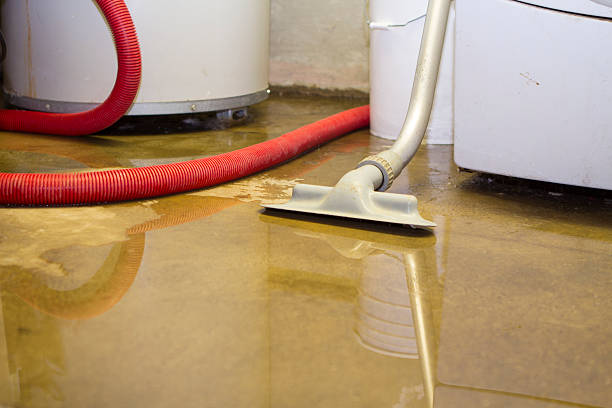 Best Water damage contractors near me  in Fmington, AR