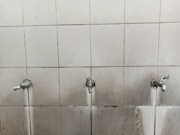 Best Residential water damage restoration  in Fmington, AR