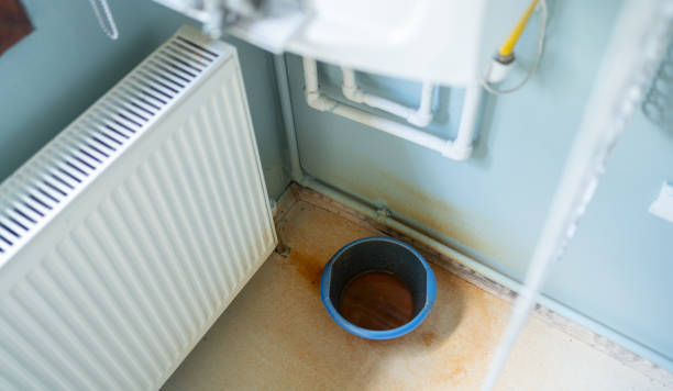 Best 24/7 water damage repair  in Fmington, AR