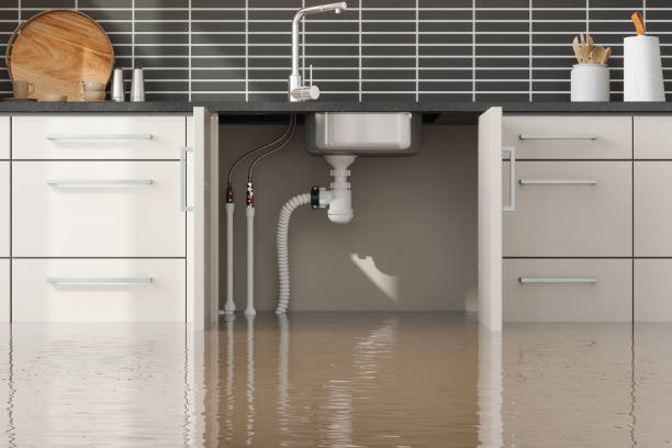 Best Flood damage cleanup  in Fmington, AR