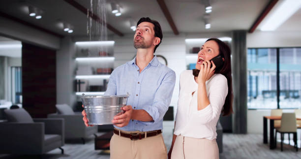 Best Water damage restoration specialists  in Fmington, AR