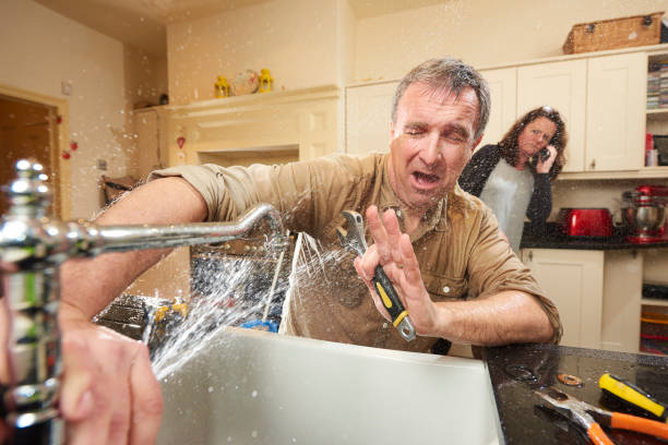 Best 24-hour water damage restoration  in Fmington, AR